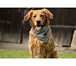 Foulard r�fl�chissant pour chien