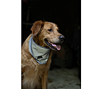 Foulard r�fl�chissant pour chien