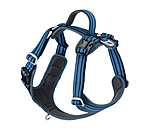 Harnais pour chien  Comfort Fit