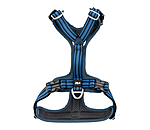 Harnais pour chien  Comfort Fit