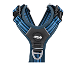 Harnais pour chien  Comfort Fit