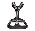 Harnais pour chien  Comfort Fit