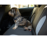 Ceinture de s�curit� pour chien