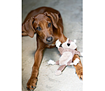 Jouet pour chien �cureuil