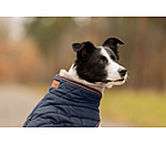 Manteau matelass� pour chien avec doublure en polaire Teddy  Holly