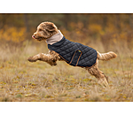 Manteau matelass� pour chien avec doublure en polaire Teddy  Holly