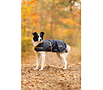 Manteau pour chien avec syst�me de liners  Northwood