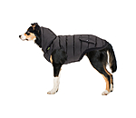 Veste d'hiver l�g�re pour chien  Anton