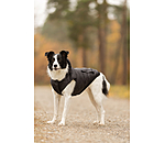 Veste d'hiver l�g�re pour chien  Anton