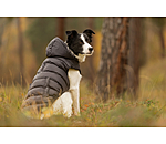 Veste d'hiver l�g�re pour chien  Anton