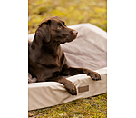Lit pour chien  Komet