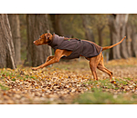 Manteau pour chien en polaire Teddy  Frido