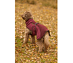 Manteau pour chien en polaire Teddy  Frido