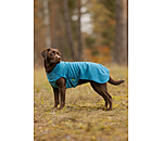 Pullover polaire pour chien  Basic