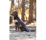 Pullover polaire pour chien  Basic