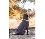 Pullover polaire pour chien  Basic