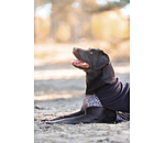 Pullover polaire pour chien  Basic