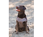 Pullover polaire pour chien  Basic