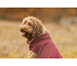 Pullover polaire pour chien  Basic