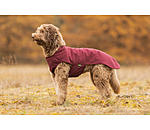 Pullover polaire pour chien  Basic