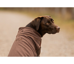 Pullover polaire pour chien  Basic