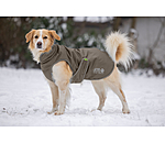 Manteau d'hiver pour chien  Archie Snow Drift, 200 g
