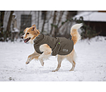 Manteau d'hiver pour chien  Archie Snow Drift, 200 g