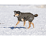 Manteau d'hiver pour chien  Archie Snow Drift, 200 g