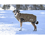 Manteau d'hiver pour chien  Archie Snow Drift, 200 g
