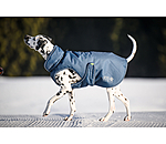 Manteau d'hiver pour chien  Archie Snow Drift, 200 g