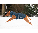 Manteau d'hiver pour chien  Archie Snow Drift, 200 g