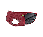 Manteau d'hiver pour chien  Archie Snow Drift, 200 g