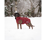 Manteau d'hiver pour chien  Archie Snow Drift, 200 g