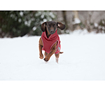 Manteau d'hiver pour chien  Archie Snow Drift, 200 g