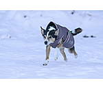 Manteau d'hiver pour chien  Archie Snow Drift, 200 g