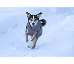 Manteau d'hiver pour chien  Archie Snow Drift, 200 g
