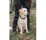 Pantalon d'ext�rieur technique  Northpine