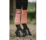 Bandes en polaire  Brilliant