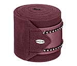 Bandes en polaire  Brilliant