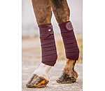 Bandes en polaire  Brilliant