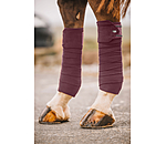 Bandes en polaire  Brilliant