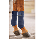 Bandes en polaire  Brilliant