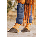 Bandes en polaire  Brilliant