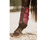 Gutres techniques  Swiss Design (Antrieurs)