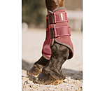 Gutres techniques  Swiss Design (Antrieurs)