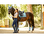 Gu�tres techniques  Swiss Design (Ant�rieurs)