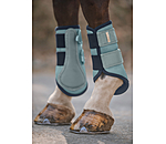 Gutres techniques  Swiss Design (Antrieurs)