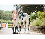 Gu�tres fonctionnelles  Swiss Design (Post�rieurs)