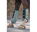 Gutres fonctionnelles  Swiss Design (Postrieurs)