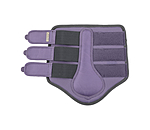 Gutres fonctionnelles  Swiss Design (Postrieurs)